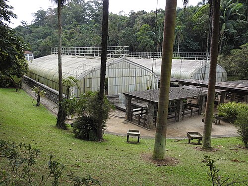 Gewächshäuser Dr. Frederico Carlos Hoehne (Botanischer Garten von São Paulo), São Paulo, Bundesstaat São Paulo — photo 3