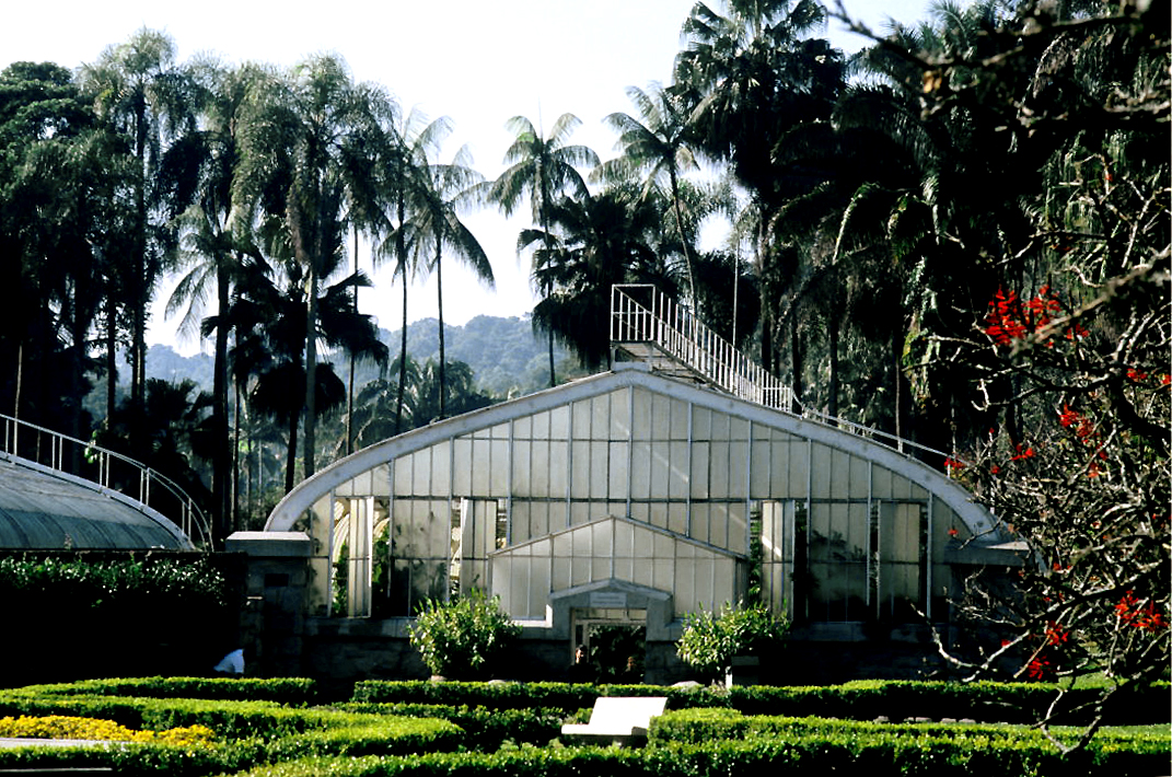 Gewächshäuser Dr. Frederico Carlos Hoehne (Botanischer Garten von São Paulo), São Paulo, Bundesstaat São Paulo — Gewächshäuser Dr. Frederico Carlos Hoehne — Ansicht 6