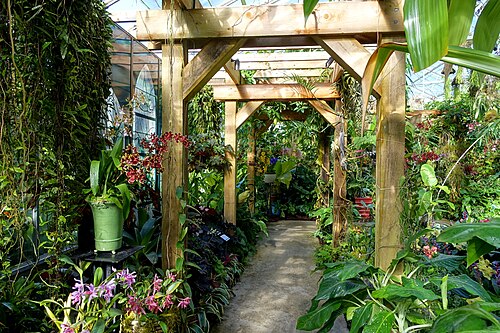 マリー・セルビー植物園の熱帯温室, フロリダ州サラソタ — Marie Selby Botanical Gardens - Sarasota, Florida, USA.
