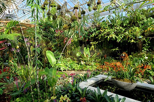 マリー・セルビー植物園の熱帯温室, フロリダ州サラソタ — マリー・セルビー植物園の熱帯温室 — 3枚目
