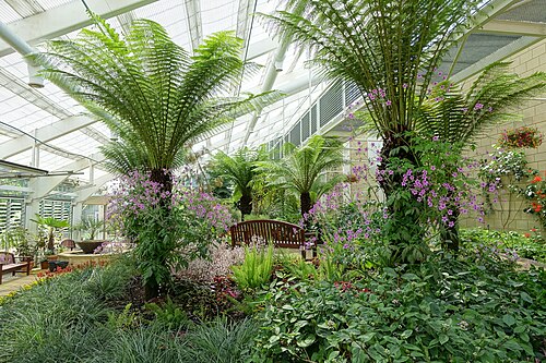 Queen Elizabeth Temperate House (Savill Garden), Windsor Great Park, Englefield Green (Surrey) — Queen Elizabeth Temperate House - Savill Garden - Windsor Great Park, England.