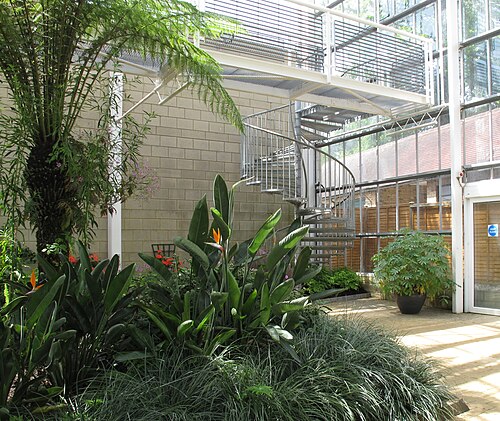 Queen Elizabeth Temperate House (Savill Garden), Windsor Great Park, Englefield Green (Surrey) — Savill Garden, Temperate House spiral staircase
