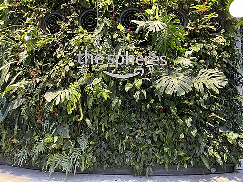 The Spheres (Amazon Spheres), Seattle, Washington — Amazon Spheres