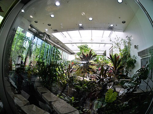 Tropisches Schmetterlingshaus, Pacific Science Center, Seattle, Washington — Pacific Science Center Seattle- Tropical Butterfly House