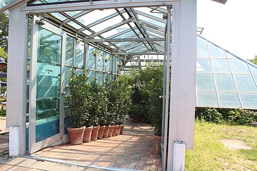 一字山ハーブ天文公園のガラス温室, ソウル（江東区、屯村洞） — 一字山ハーブ天文公園のガラス温室 — 1枚目