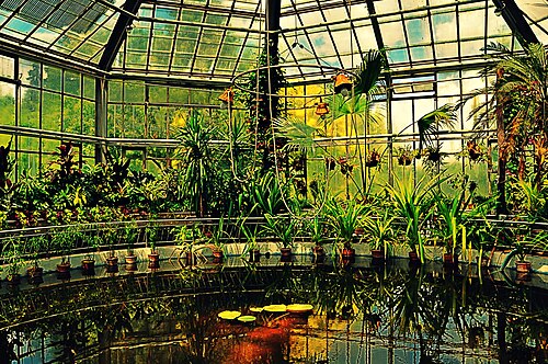 Gewächshäuser des Botanischen Gartens Cluj-Napoca, Cluj-Napoca — Sera din Gradina Botanica Cluj-Napoca