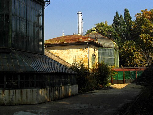 Sera Veche, Botanischer Garten Dimitrie Brândză, Bukarest — Sera Veche, Botanischer Garten Dimitrie Brândză — Ansicht 4