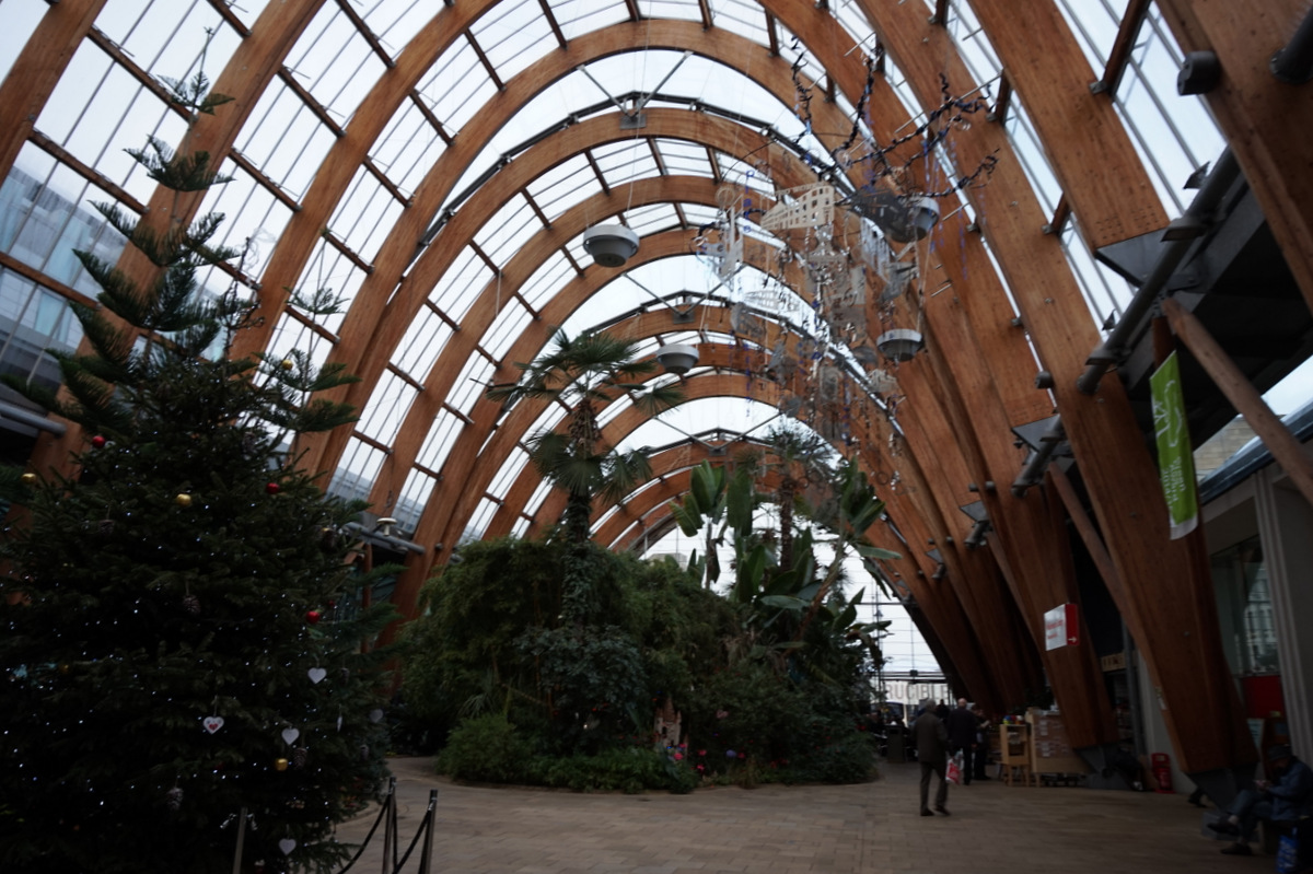 Sheffield Winter Garden, Sheffield — The Winter Garden, Sheffield