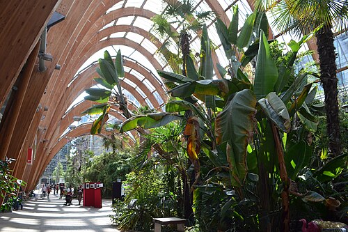 Sheffield Winter Garden, Sheffield — Sheffield Winter Gardens