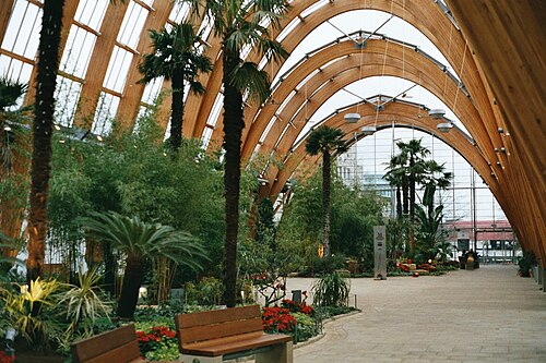 Sheffield Winter Garden, Sheffield — Sheffield Winter Gardens , Sheffield, England.
