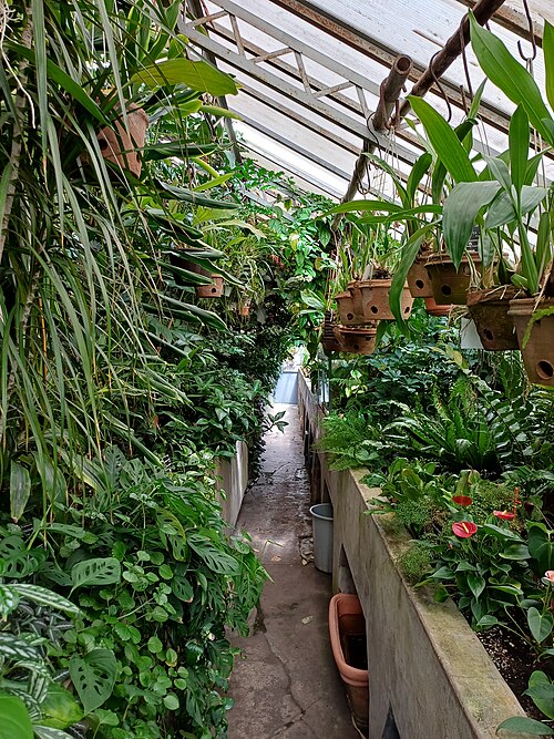 ソフィア大学植物園の温室群（Universitetska botanicheska gradina）, ソフィア（市中心部、モスコフスカ通り49） — Sofia University botanical greenhouse, Sofia