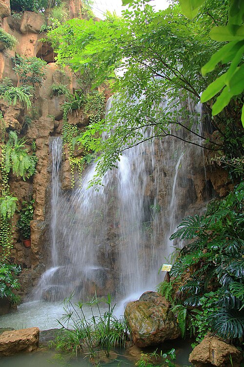 Gewächshäuser des Südchinesischen Nationalen Botanischen Gartens, Guangzhou — Gewächshäuser des Südchinesischen Nationalen Botanischen Gartens — Ansicht 1