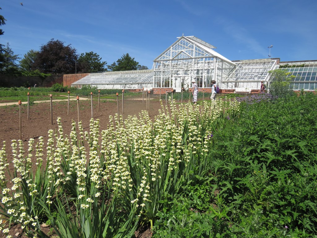 Gewächshaus, Dyffryn Gardens, St Nicholas, Vale of Glamorgan, Wales — Glasshouses at Dyffryn