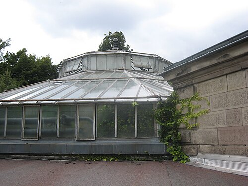 ストラスブール大学植物園のバリー温室(旧ヴィクトリアハウス), ストラスブール、グラン・テスト — ストラスブール大学植物園のバリー温室(旧ヴィクトリアハウス) — 4枚目
