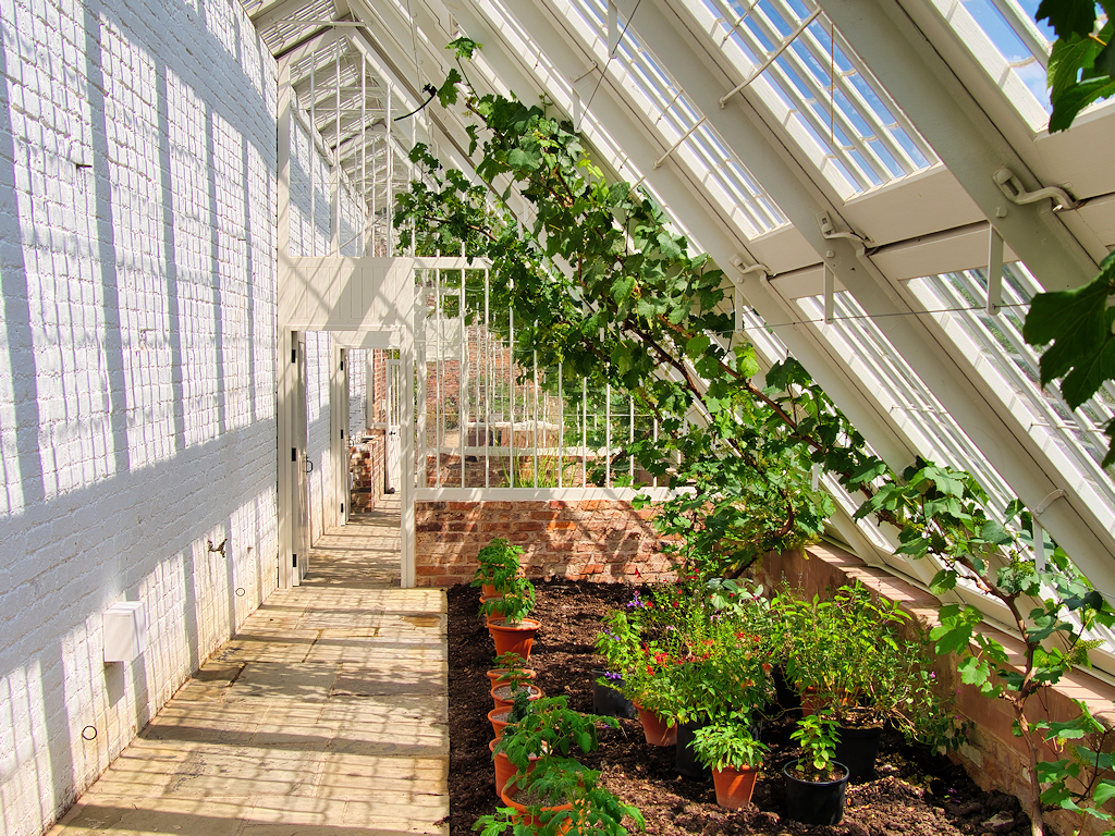Curvilinear-Glashaus von Quarry Bank, Quarry Bank, Styal (Wilmslow), Cheshire, England — Restored Georgian Greenhouse at Quarry Bank Mill Gardens