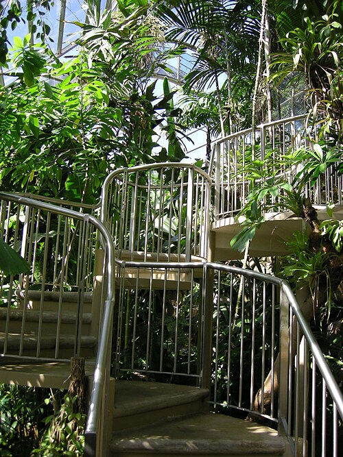 Pyramid Glasshouse (Tropical Centre), Royal Botanic Garden, Sydney, New South Wales — Royal Botanic Gardens, Sydney