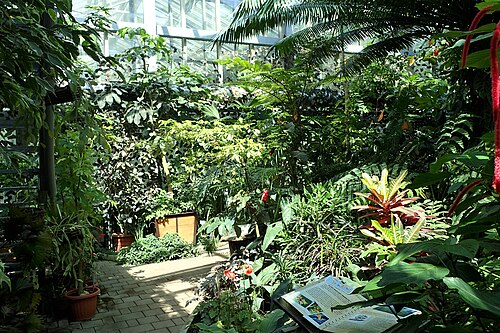 Tropengewächshaus des Botanischen Gartens der Universität Szeged (SZTE Füvészkert), Szeged, Komitat Csongrád-Csanád — Tropengewächshaus des Botanischen Gartens der Universität Szeged — Ansicht 2