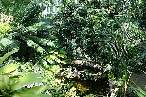 Tropengewächshaus des Botanischen Gartens der Universität Szeged (SZTE Füvészkert), Szeged, Komitat Csongrád-Csanád — Tropengewächshaus des Botanischen Gartens der Universität Szeged — Ansicht 4