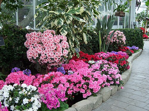 W. W. Seymour Botanical Conservatory (Wright Park), Tacoma, Washington — Wright Park