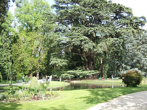 Gewächshaus (Orangerie) des Jardin Massey, Tarbes, Okzitanien — Jardin Massey
