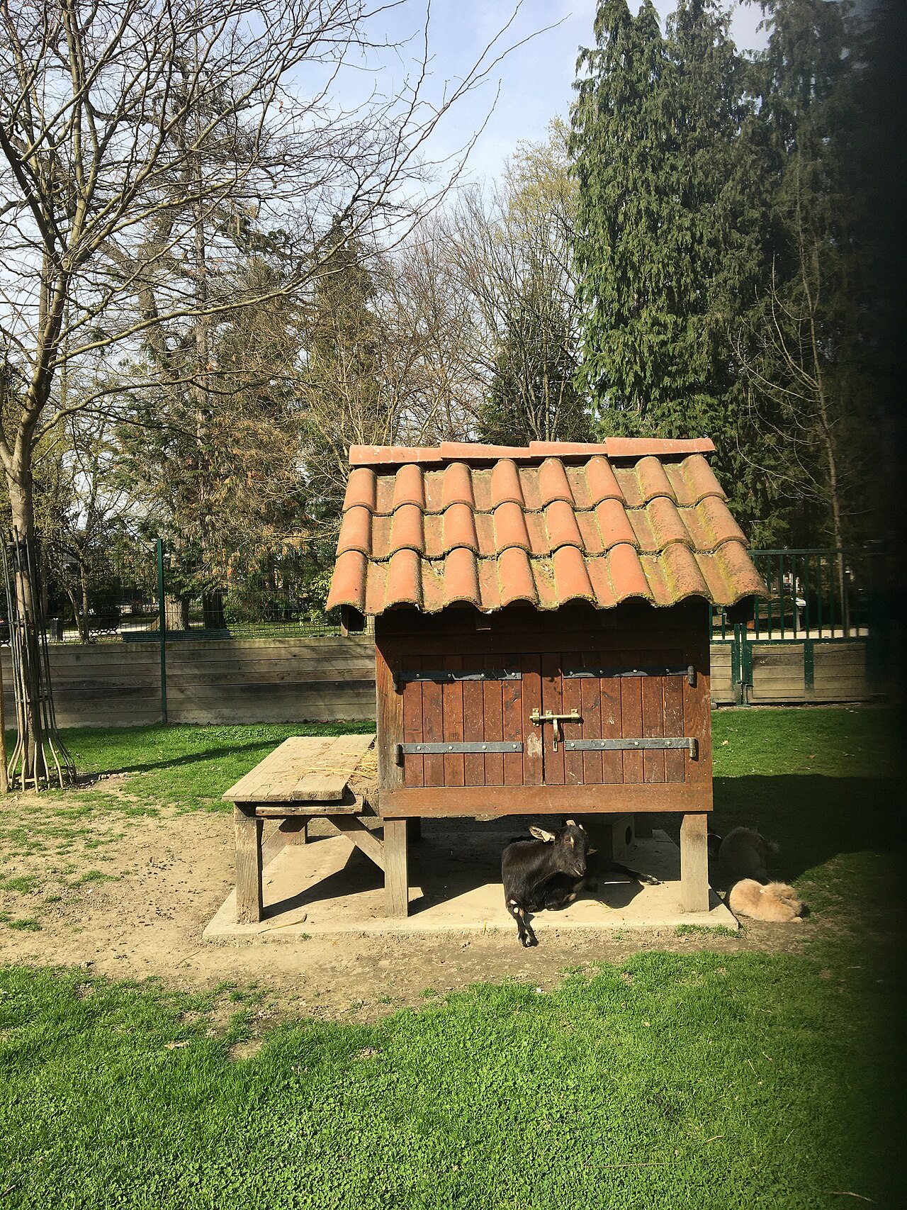 Gewächshaus (Orangerie) des Jardin Massey, Tarbes, Okzitanien — Mini ferme avec chèvres, lapins, poules...