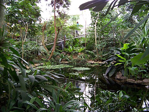 Tropicana-Gewächshaus, Botanischer Garten Teplice (skleník Tropicana), Teplice, Region Ústí nad Labem — Teplice , Teplice District , Ústí nad Labem Region , the Czech Republic . Josefa Suka…