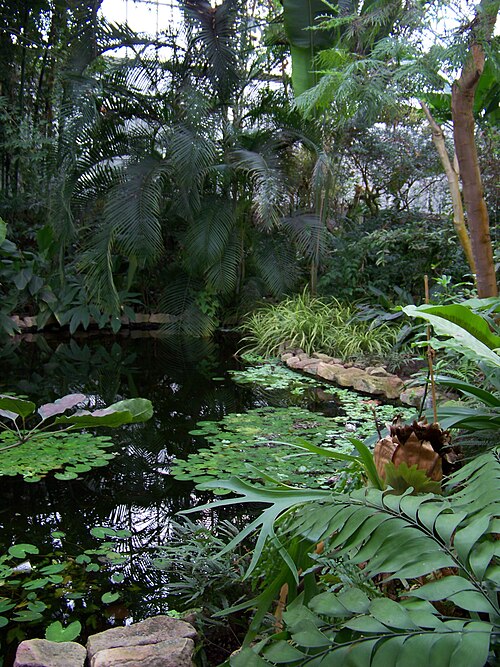 Tropicana-Gewächshaus, Botanischer Garten Teplice (skleník Tropicana), Teplice, Region Ústí nad Labem — Tropicana-Gewächshaus, Botanischer Garten Teplice — Ansicht 3