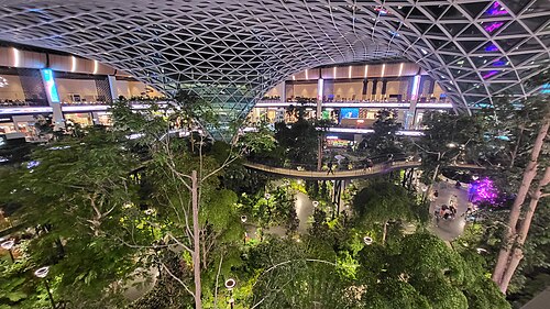The Orchard, Hamad International Airport, Doha — The Orchard - Hamad International Airport in July 2024