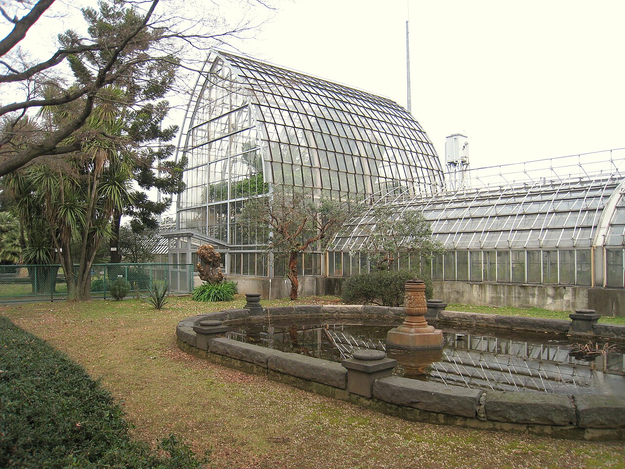 Öffentliches Gewächshaus des Botanischen Gartens Koishikawa (小石川植物園 公開温室), Bunkyō, Tokio — Koishikawa Botanical Gardens, Tokyo, Japan - glass house.
