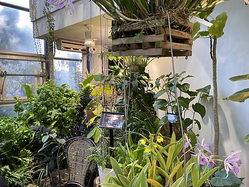 Shibuya City Botanical Garden Fureai (渋谷区ふれあい植物センター), Shibuya, Tokio — Shibuya City Botanical Garden Fureai — Ansicht 1