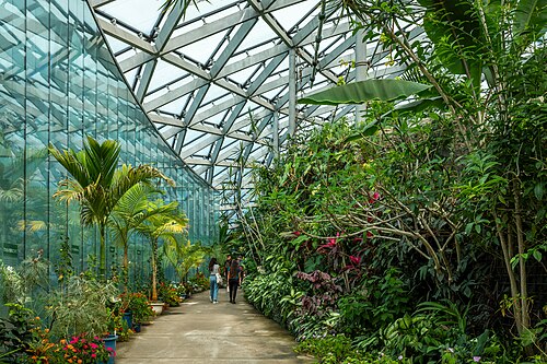 Großes Gewächshaus im Shinjuku Gyoen (新宿御苑大温室), Shinjuku, Tokio — An interior view from the greenhouse in Shinjuku Gyoen National Garden in Shinjuku…