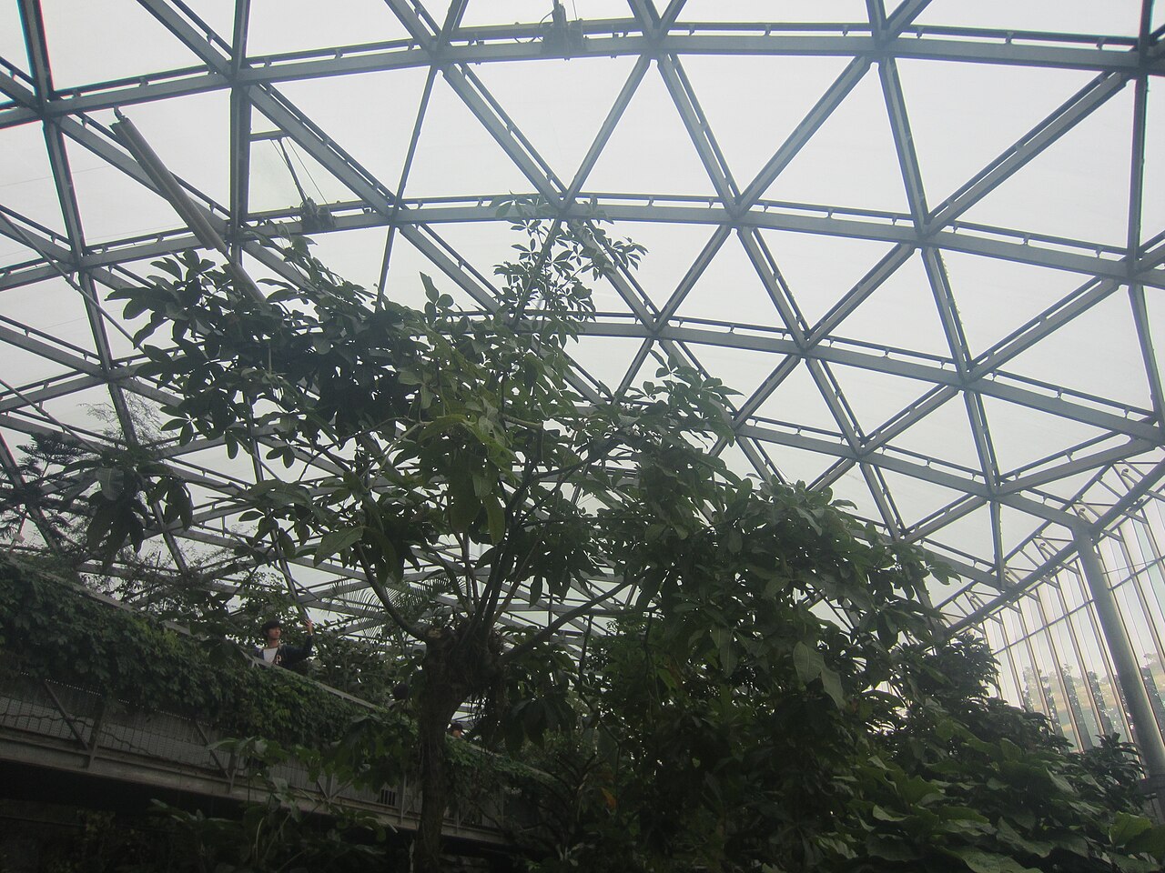 Großes Gewächshaus im Shinjuku Gyoen (新宿御苑大温室), Shinjuku, Tokio — Tokyo, 2019