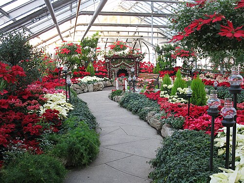 Centennial Park Conservatory, Toronto (Etobicoke), Ontario — Christmas Show at Centennial Park Conservatory 2010