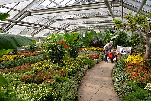 Centennial Park Conservatory, Toronto (Etobicoke), Ontario — Інтер'єр оранжереї у Сентенніал-Парку, Торонто