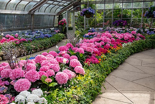 Centennial Park Conservatory, Toronto (Etobicoke), Ontario — Centennial Park Greenhouse