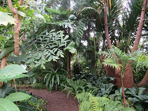 Palm House und Arid House von Torre Abbey, Torquay, Devon — photo 2