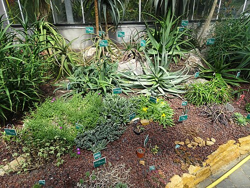 トゥルコワン植物園の教育用温室, トゥルコワン、オー＝ド＝フランス地域圏 — Jardin botanique de Tourcoing Nord (département français) .