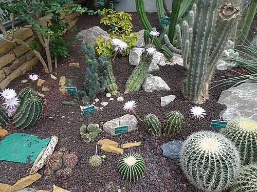 トゥルコワン植物園の教育用温室, トゥルコワン、オー＝ド＝フランス地域圏 — トゥルコワン植物園の教育用温室 — 2枚目