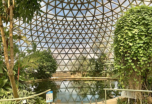 Tropical Display Dome, Brisbane Botanic Gardens, Mount Coot-tha, Brisbane, Queensland — Tropical Display Dome, Brisbane Botanic Gardens, Mount Coot-tha