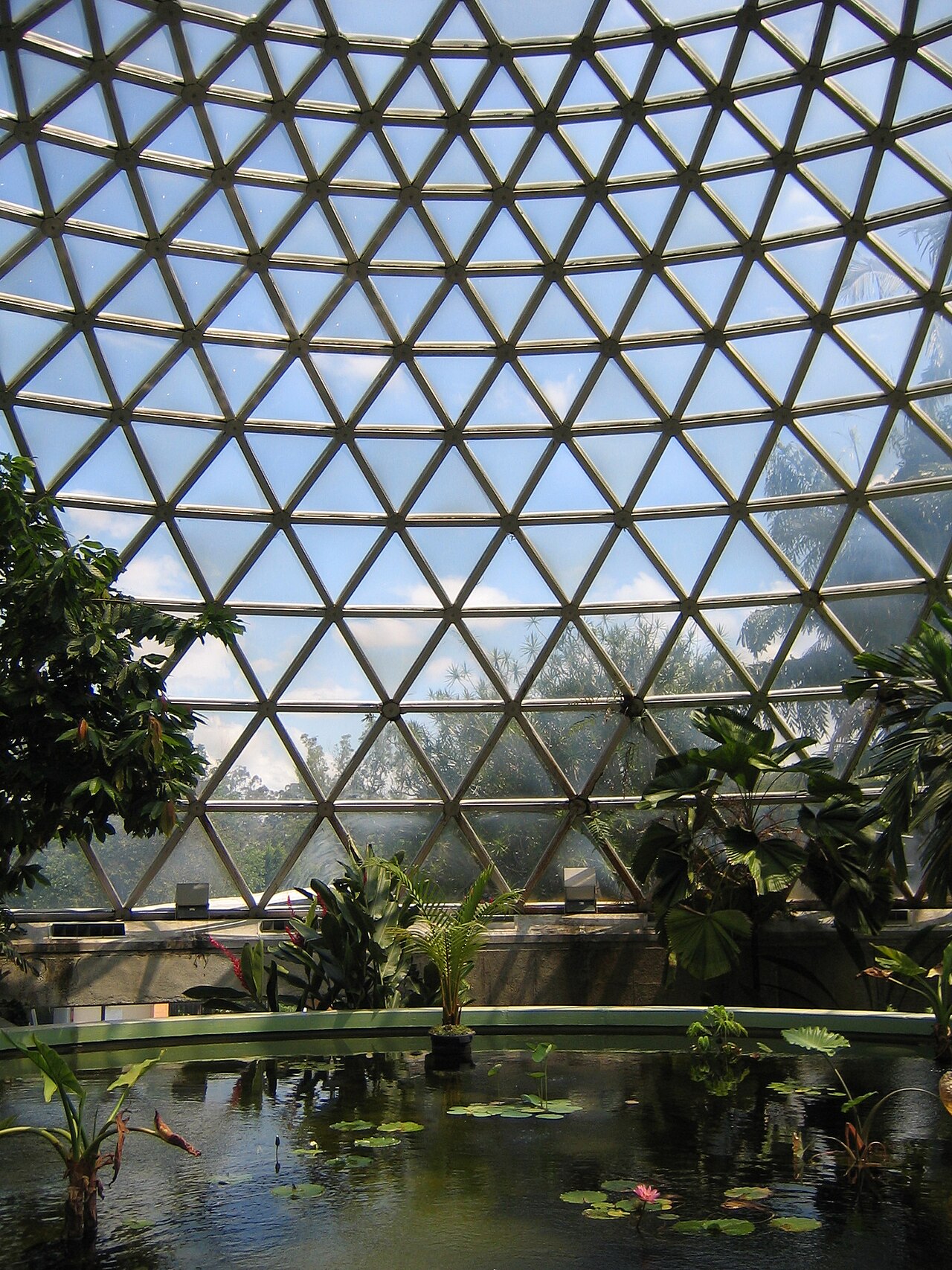 Tropical Display Dome, Brisbane Botanic Gardens, Mount Coot-tha, Brisbane, Queensland — Tropical Display Dome of the Botanical Garden Tropical Display Dome of the Botanical…