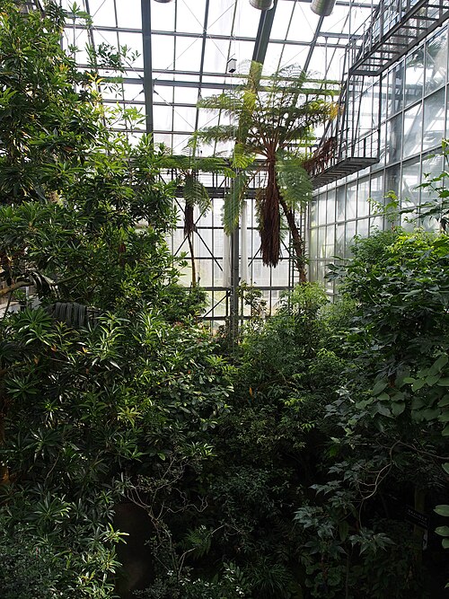 Gewächshäuser des Botanischen Gartens Tsukuba (筑波実験植物園), Tsukuba, Präfektur Ibaraki — Gewächshäuser des Botanischen Gartens Tsukuba — Ansicht 5
