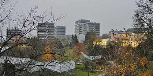 Tropicarium du jardin botanique de l'université de Tübingen, Tübingen, Bade-Wurtemberg — Botanischer Garten in Tübingen