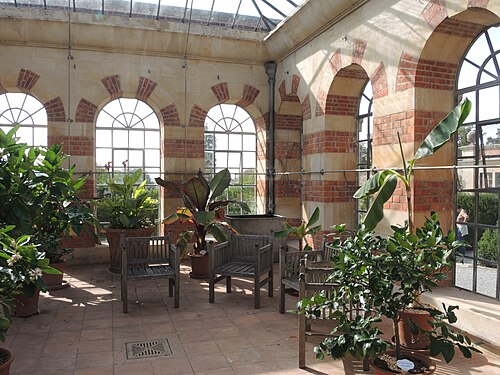 Tyntesfield Orangery, Wraxall, nahe Bristol (North Somerset) — A chat among the succulents