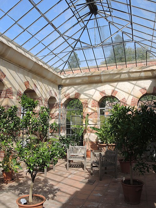 Tyntesfield Orangery, Wraxall, nahe Bristol (North Somerset) — A clearer view of the future