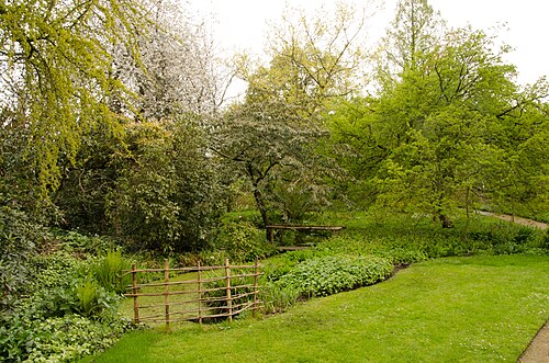Collection glasshouse and orangeries of the Oude Hortus (old botanic garden of Utrecht), Utrecht, Utrecht province — Universiteits Museum /Hortus