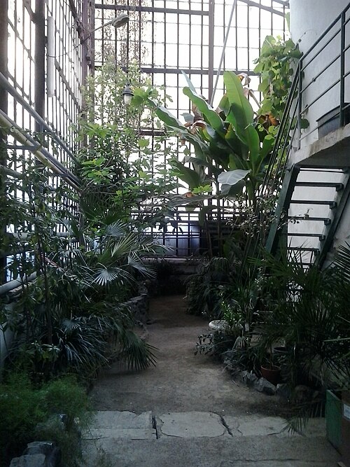 Orangerie des Botanischen Gartens der Nationalen Universität Uschhorod (Botanichnyi sad UzhNU), Uschhorod, Oblast Transkarpatien — Az Ungvári botanikus kert üvegháza