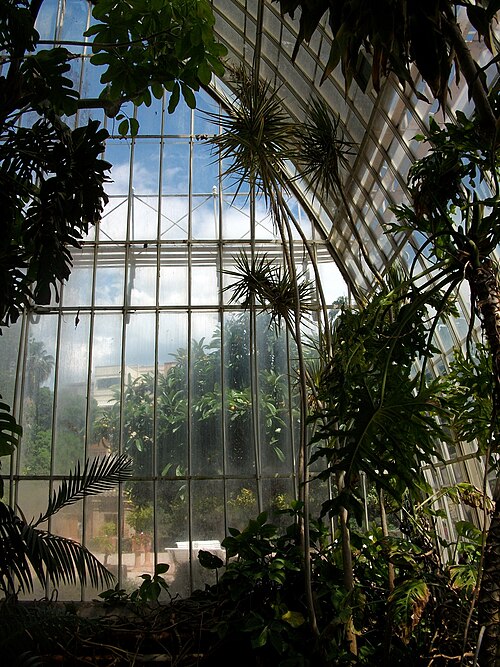 Monleón-Gewächshaus, Jardí Botànic der Universität Valencia, Valencia, Valencianische Gemeinschaft — Monleón-Gewächshaus, Jardí Botànic der Universität Valencia — Ansicht 3