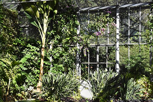 Victoria-Gewächshaus und Vertikaler Garten der Botanischen Gärten Villa Taranto, Pallanza, Verbania (Piemont) — Victoria-Gewächshaus und Vertikaler Garten der Botanischen Gärten Villa Taranto…