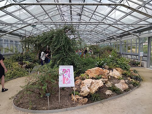 Gewächshäuser des Arboretums Versailles-Chèvreloup, Le Chesnay-Rocquencourt, Yvelines — Gewächshäuser des Arboretums Versailles-Chèvreloup — Ansicht 2