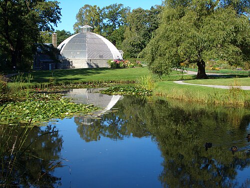 Victoriahuset (Victoria-Haus), Bergianska trädgården, Stockholm — Victoria House, Begianska Botanic garden, Stockholm